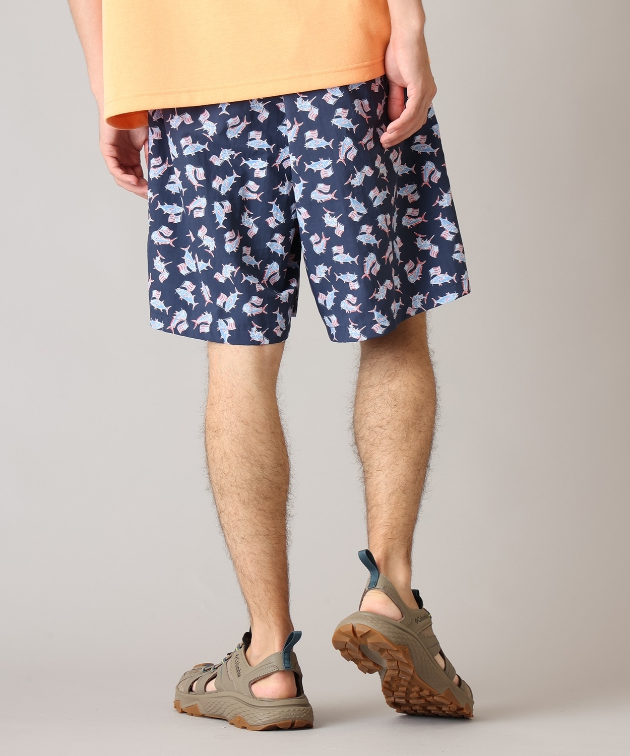 470Nocturnal Flagfish