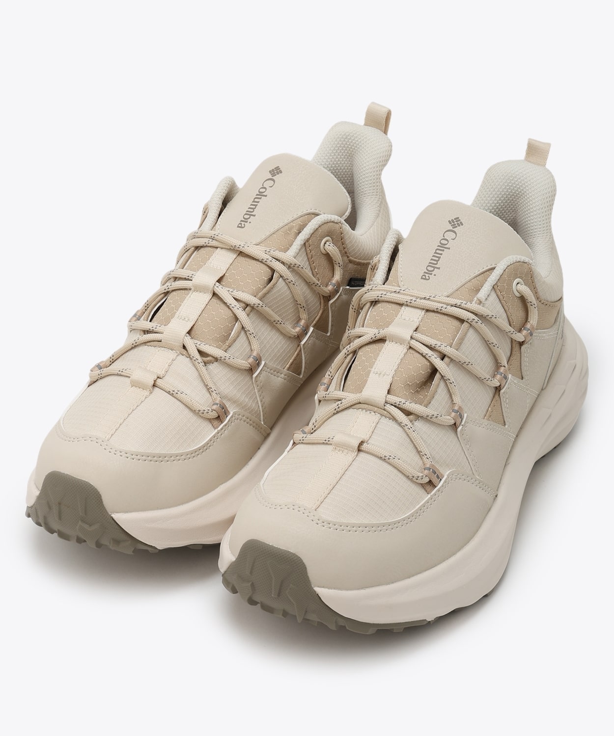 191Chalk Ancient Fossil