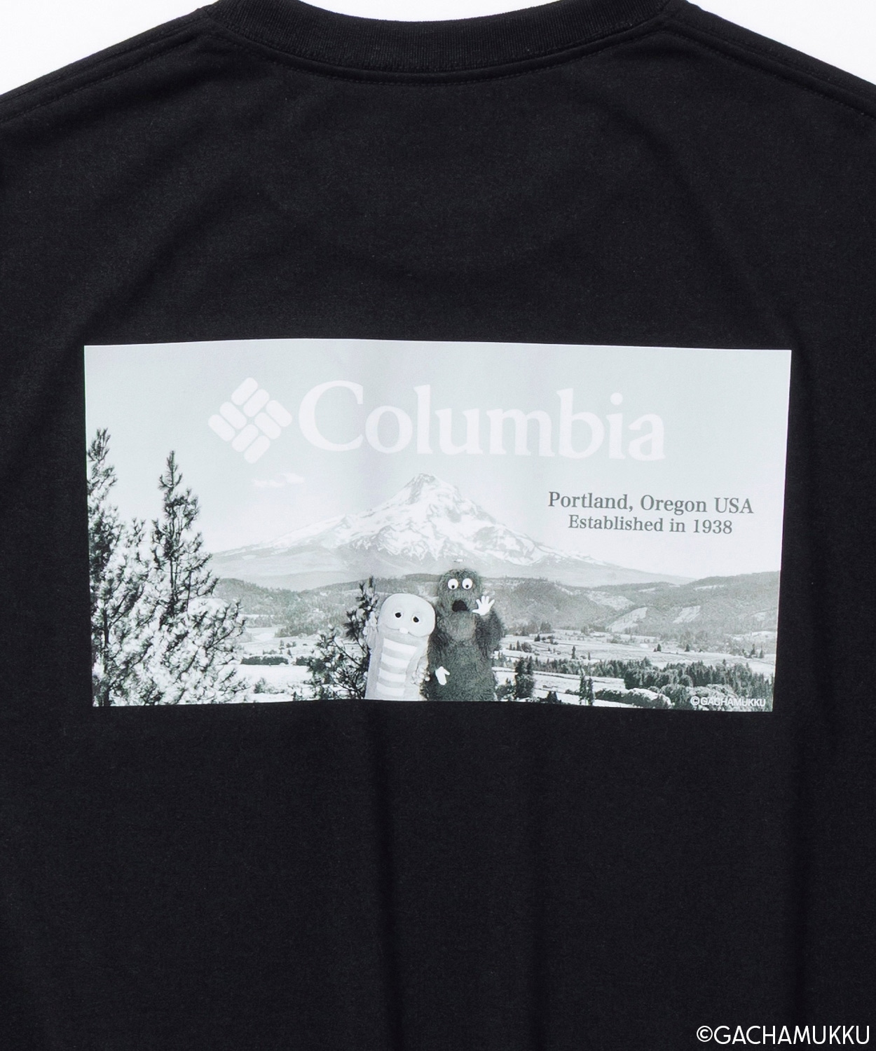 020Black, Picture