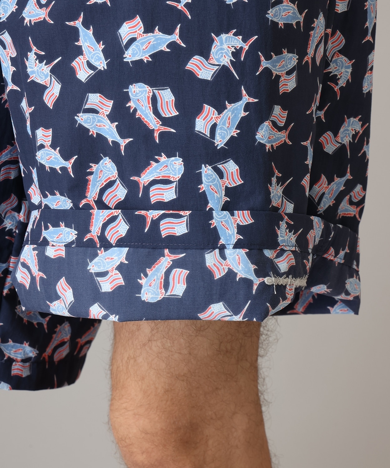 470Nocturnal Flagfish