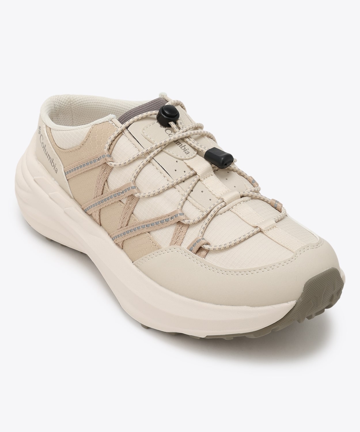 191Chalk Ancient Fossil