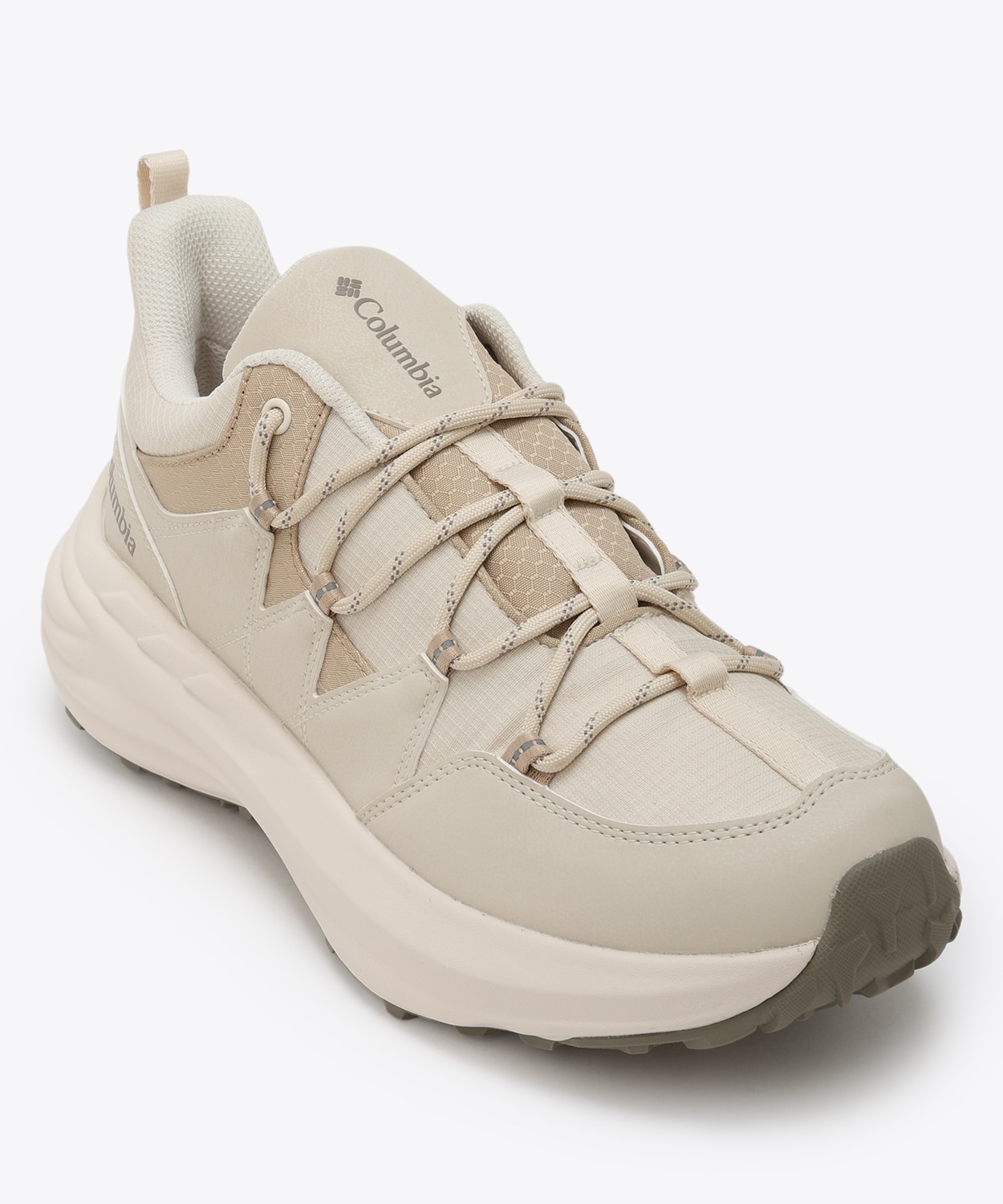 191Chalk Ancient Fossil