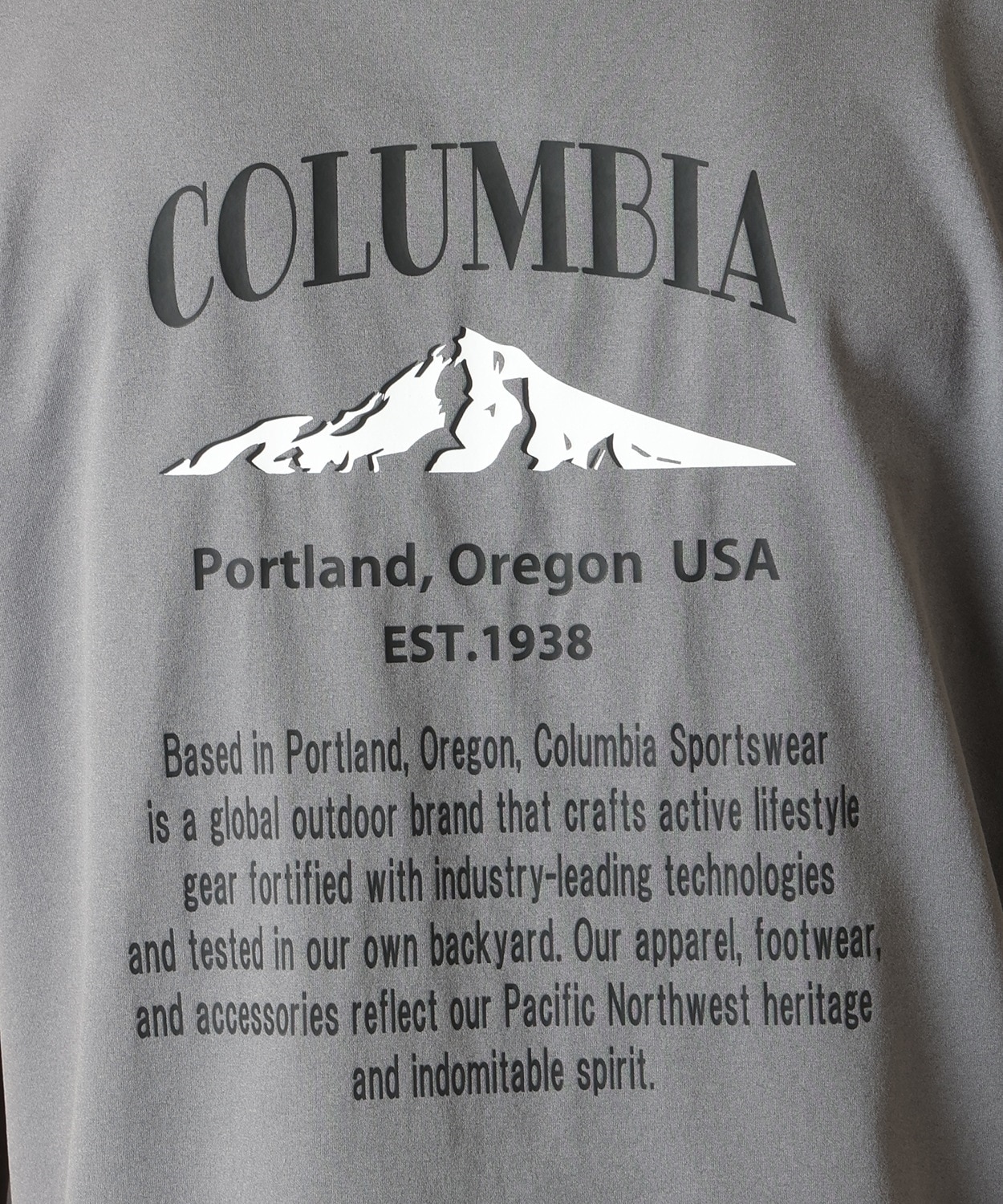 023City Grey Back Print