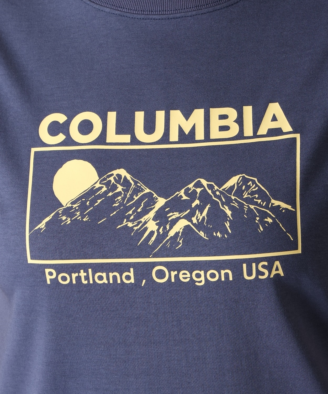 466Nocturnal Mountain Graphic