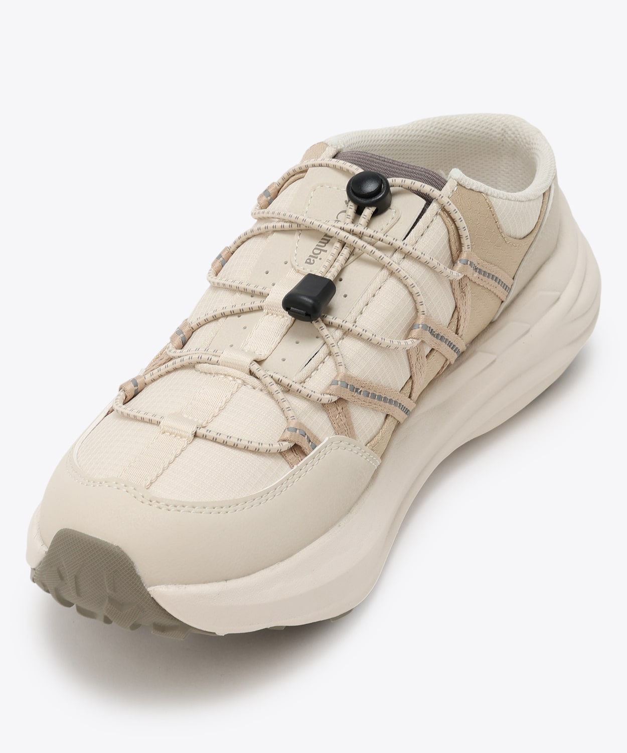 191Chalk Ancient Fossil