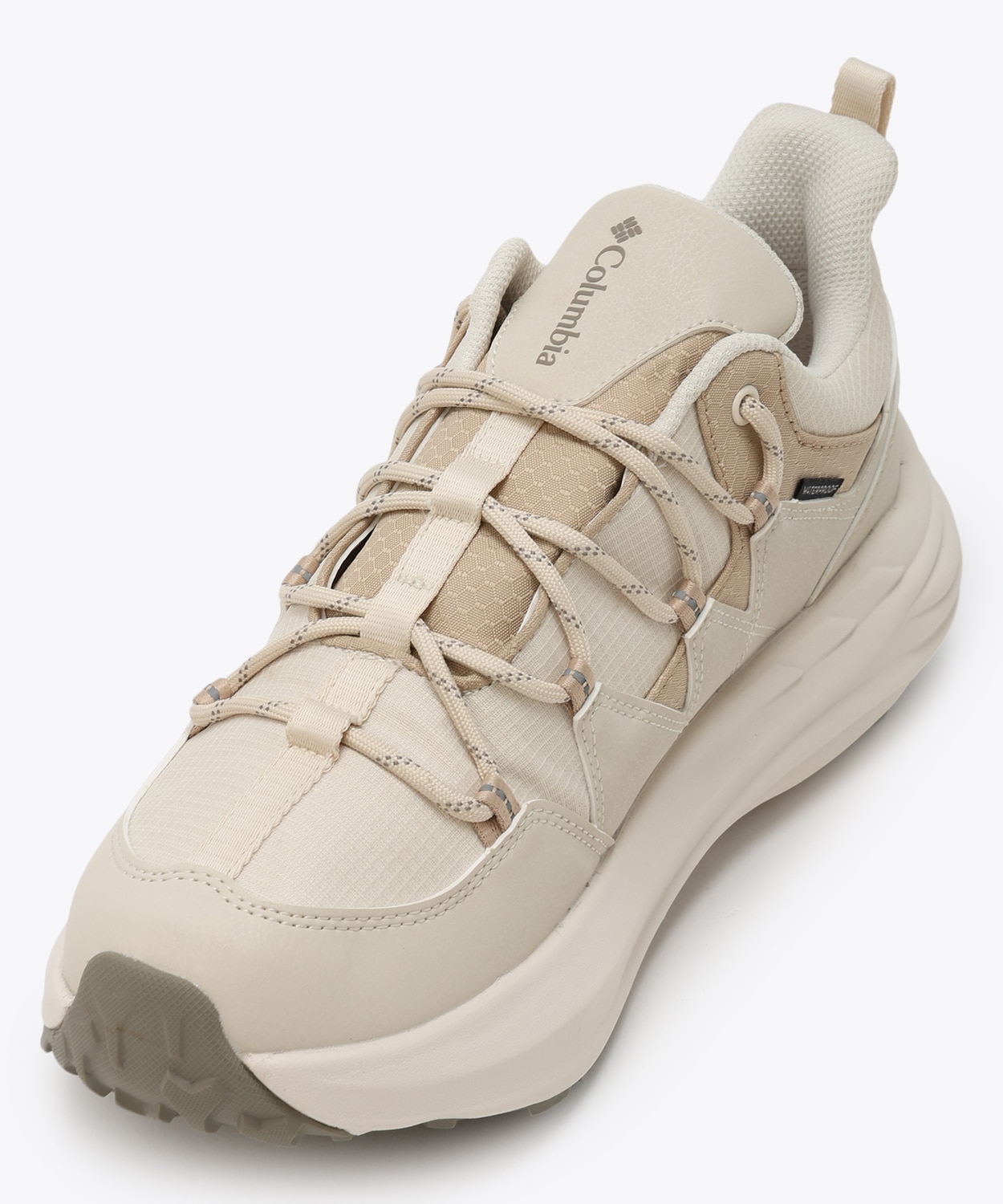 191Chalk Ancient Fossil