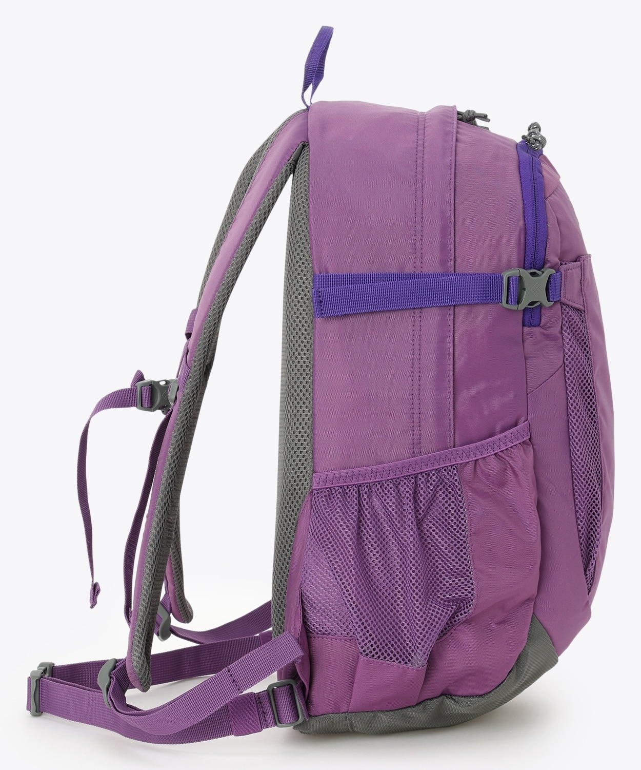 536Dark Lavender