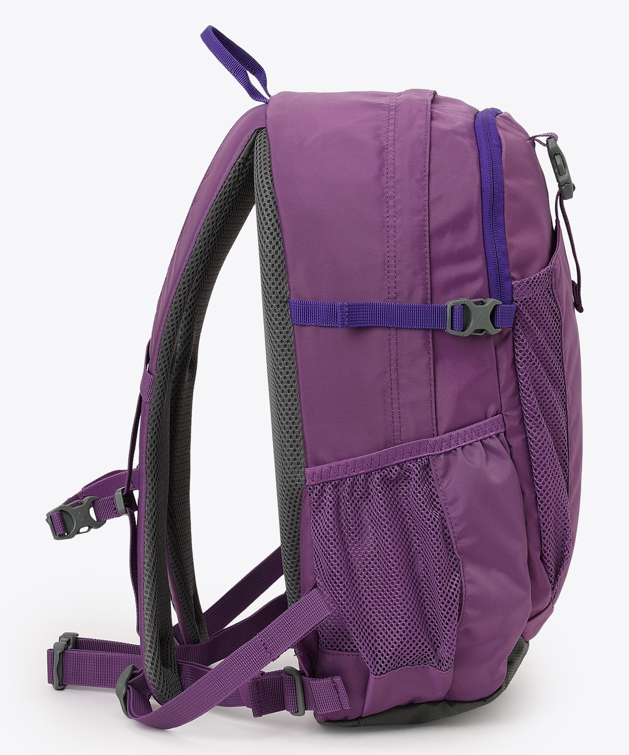 536Dark Lavender