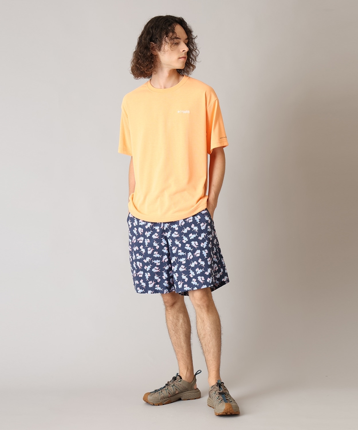 470Nocturnal Flagfish