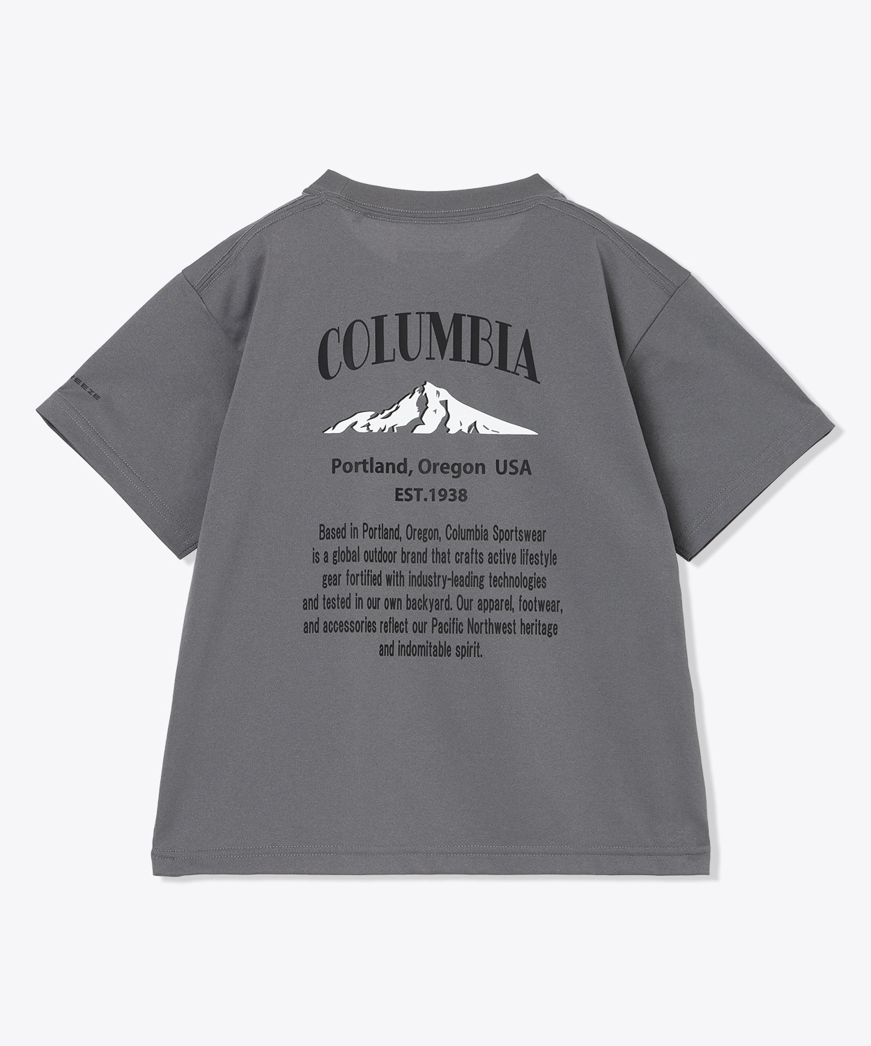 023City Grey Back Print