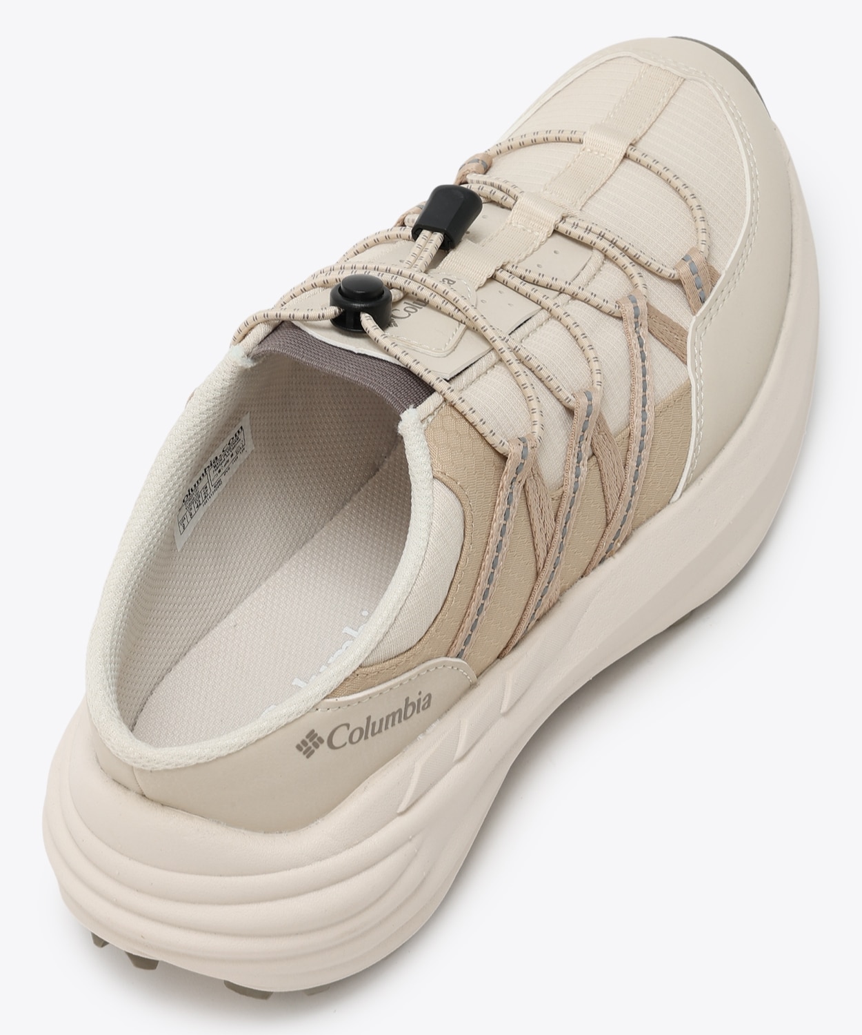 191Chalk Ancient Fossil