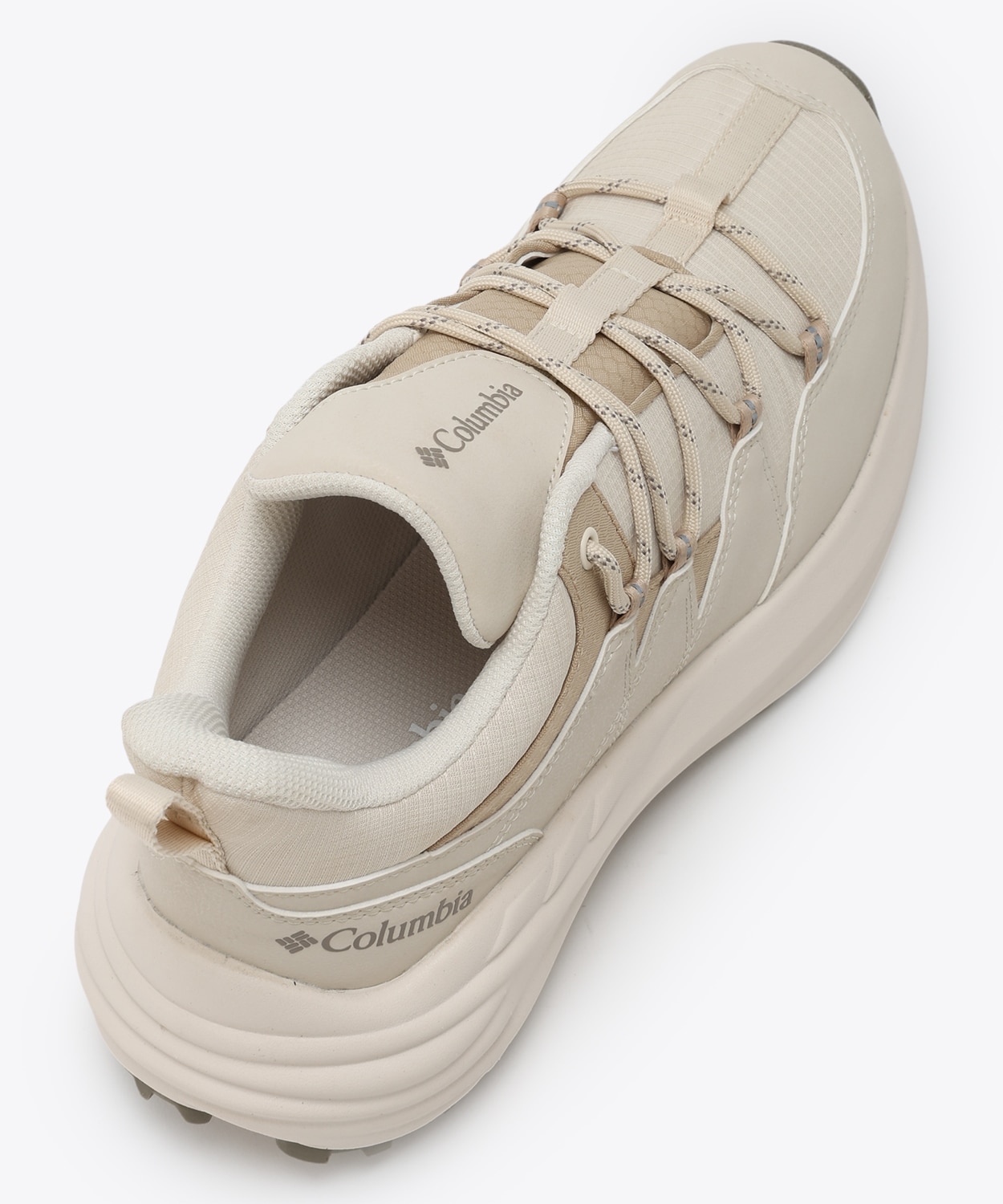 191Chalk Ancient Fossil