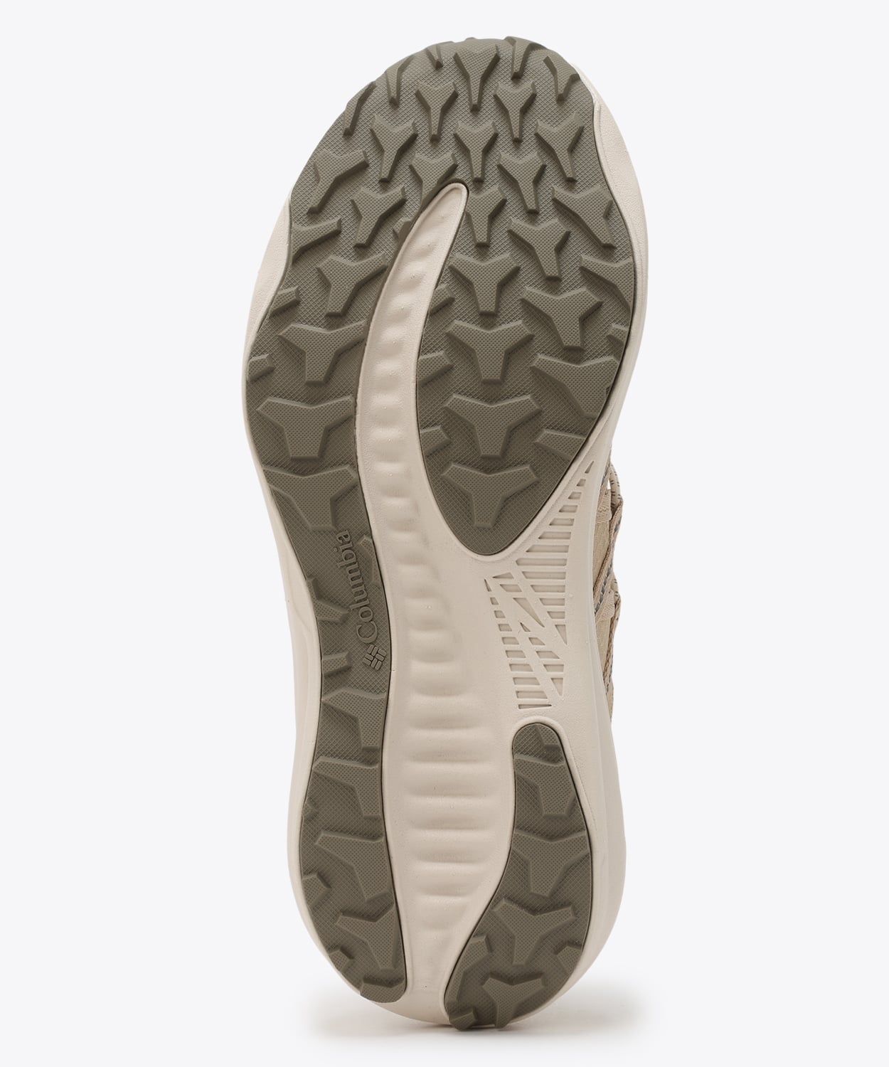 191Chalk Ancient Fossil