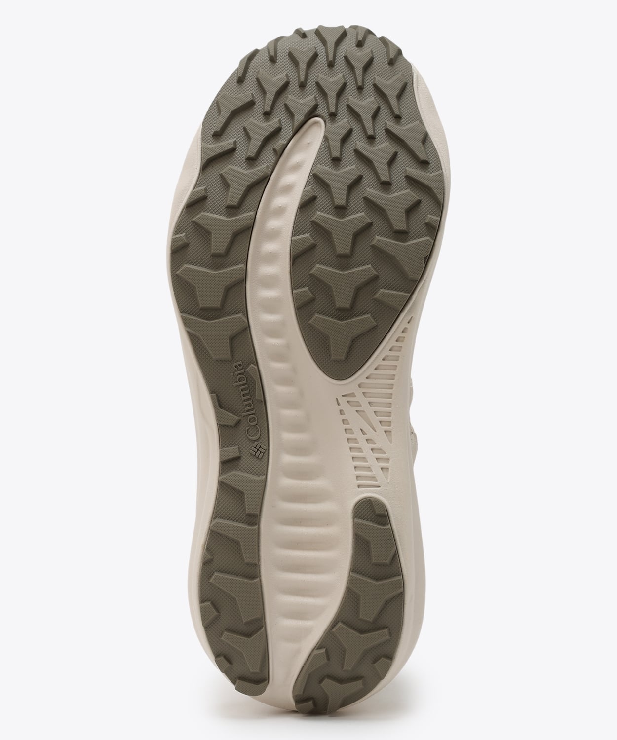 191Chalk Ancient Fossil