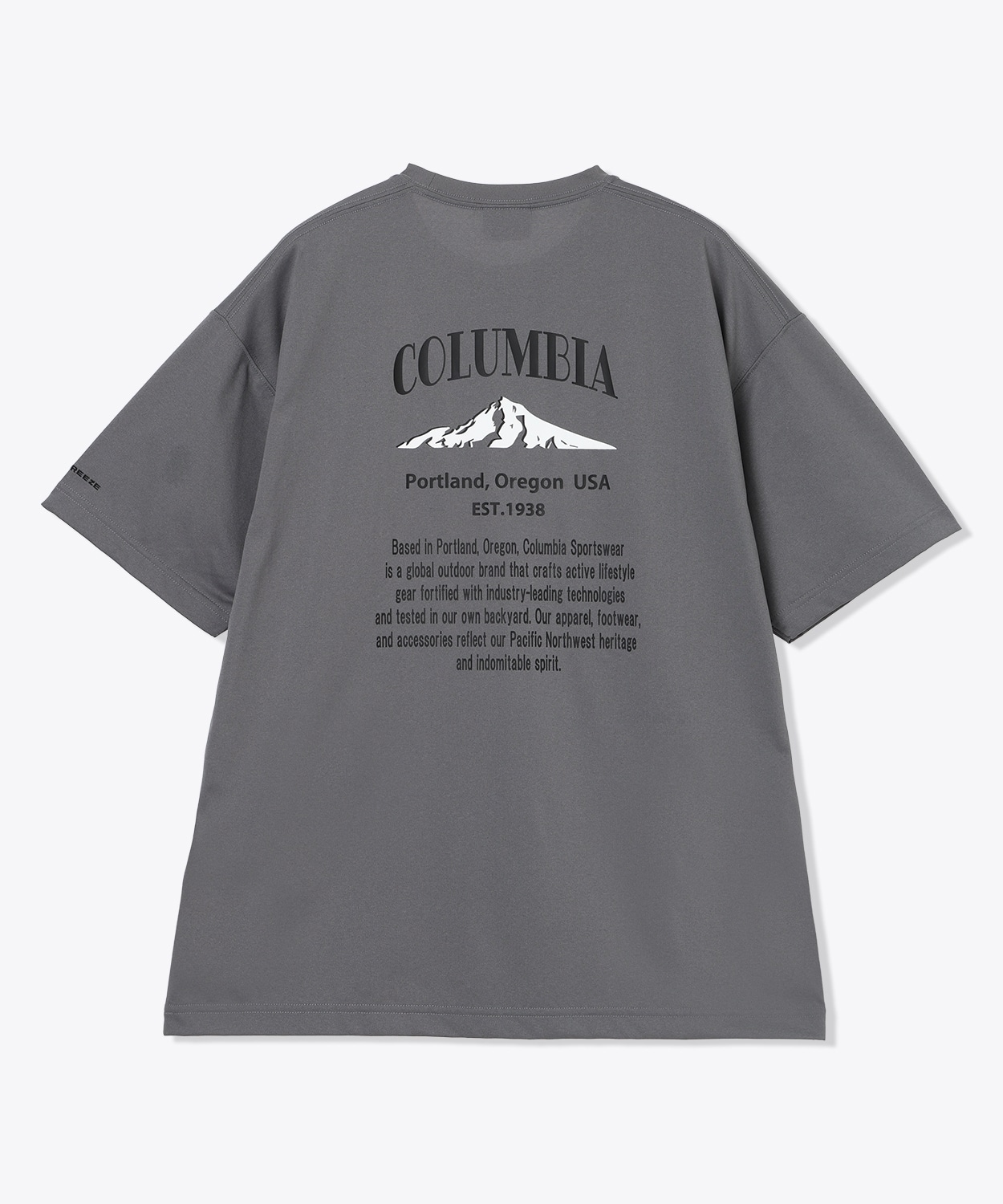 023City Grey Back Print