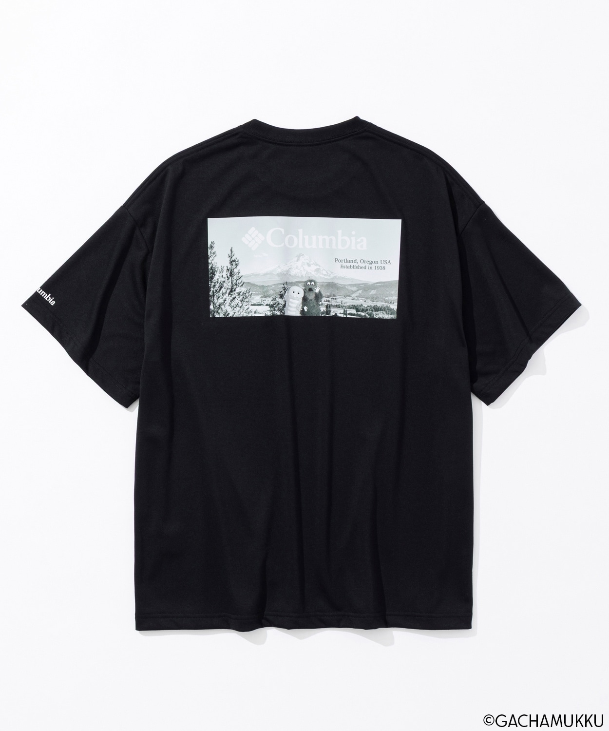 020Black, Picture