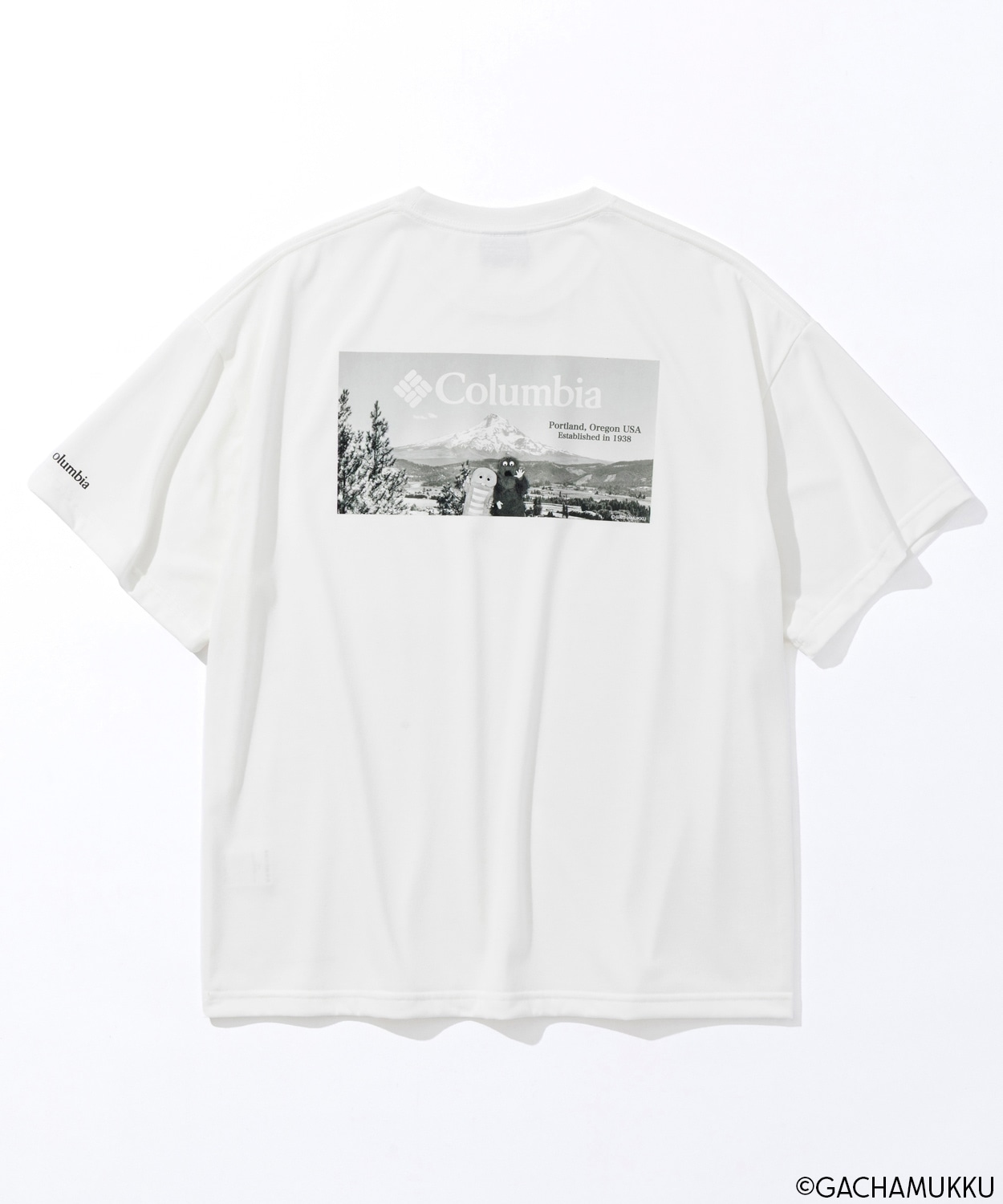 135Sea Salt, Picture
