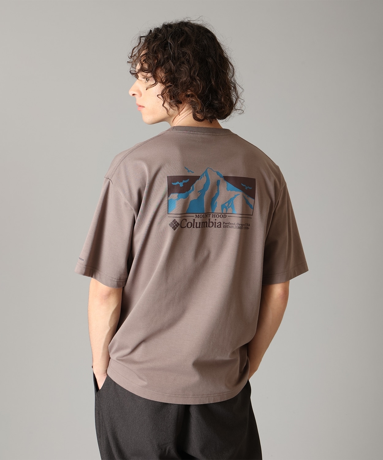 254Iron