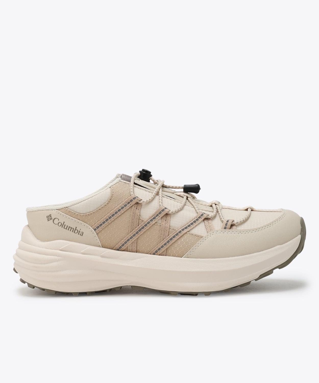 191Chalk Ancient Fossil