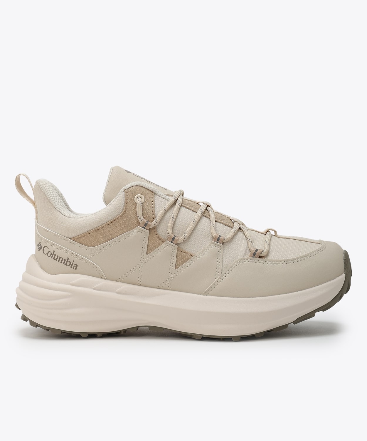 191Chalk Ancient Fossil