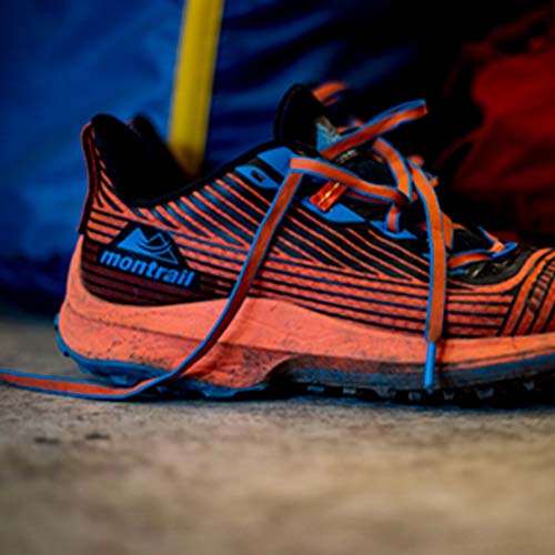 TRINITY AG×MEDIA＆DEALERS VOICE