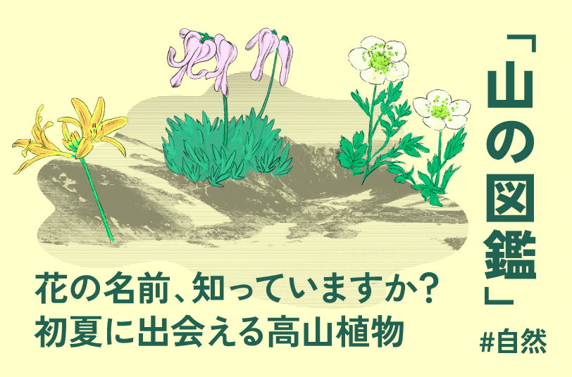 山の図鑑 vol.1 春の高山植物編