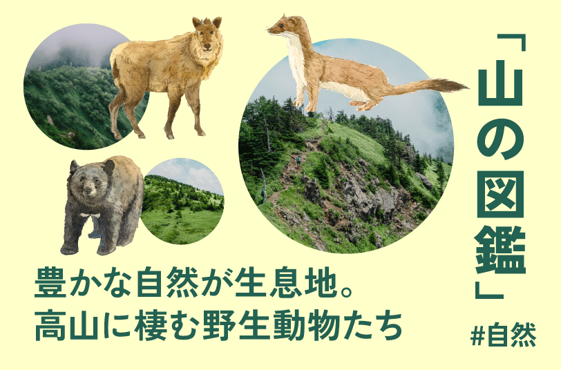 食事で登山のカラダをつくろう
