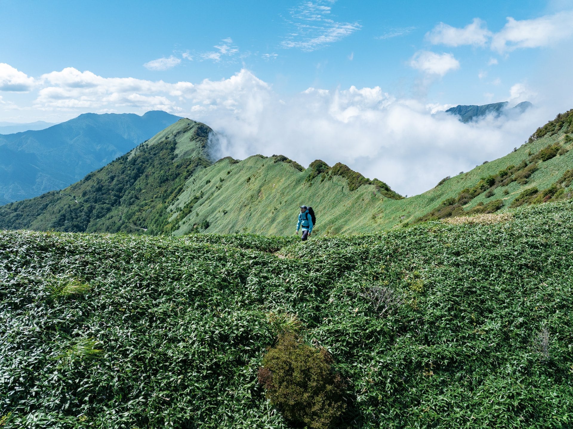 コロンビア会員限定登山学校2026 ヒーロー画像
