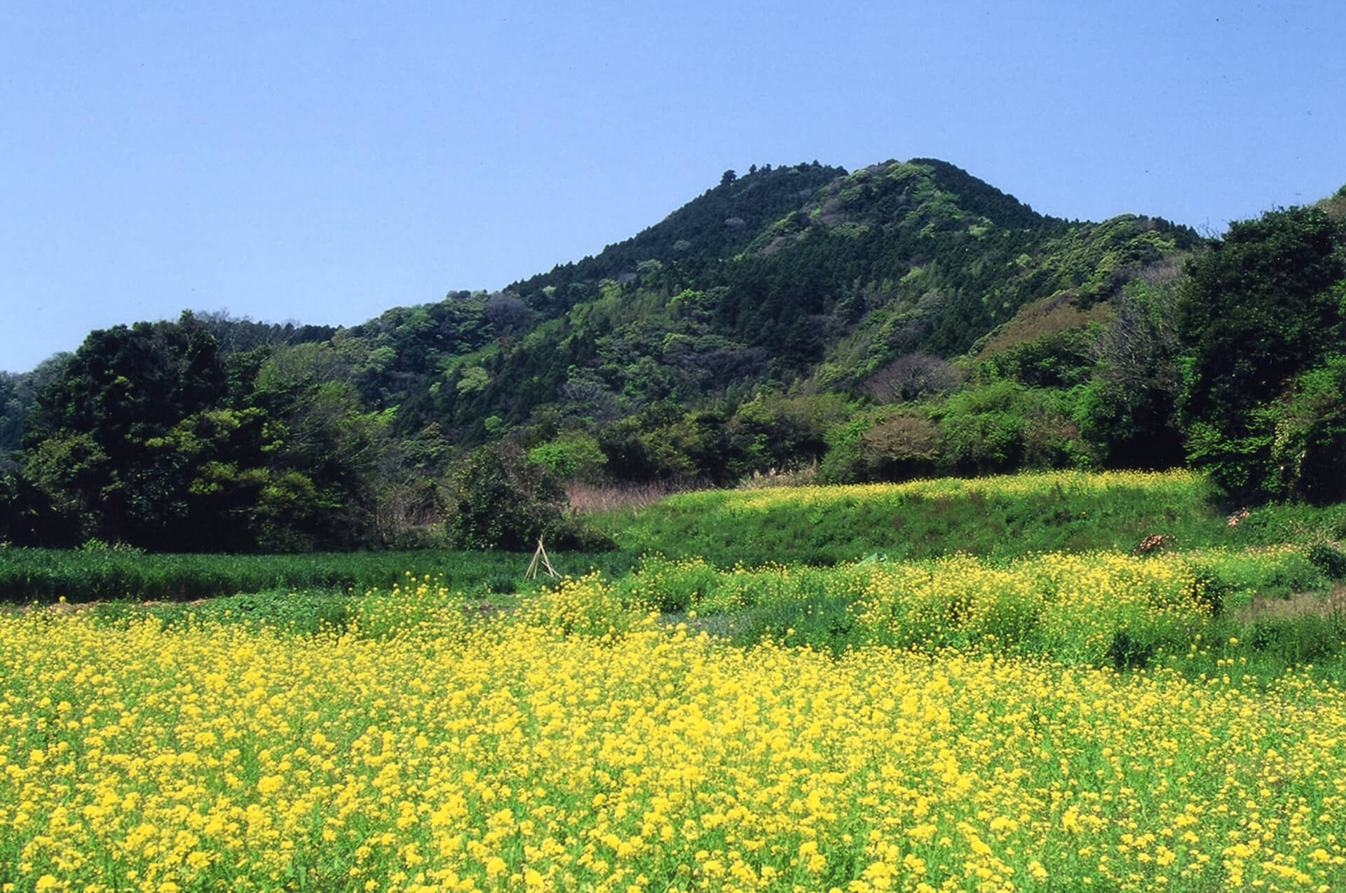 【関東・中部】登山初心者も安心！ハイキングにおすすめの低山8選