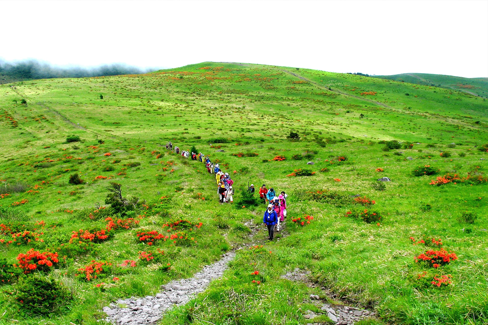 山頂を目指すだけが登山の魅力じゃない！初心者でも楽しめるおすすめのロングトレイル