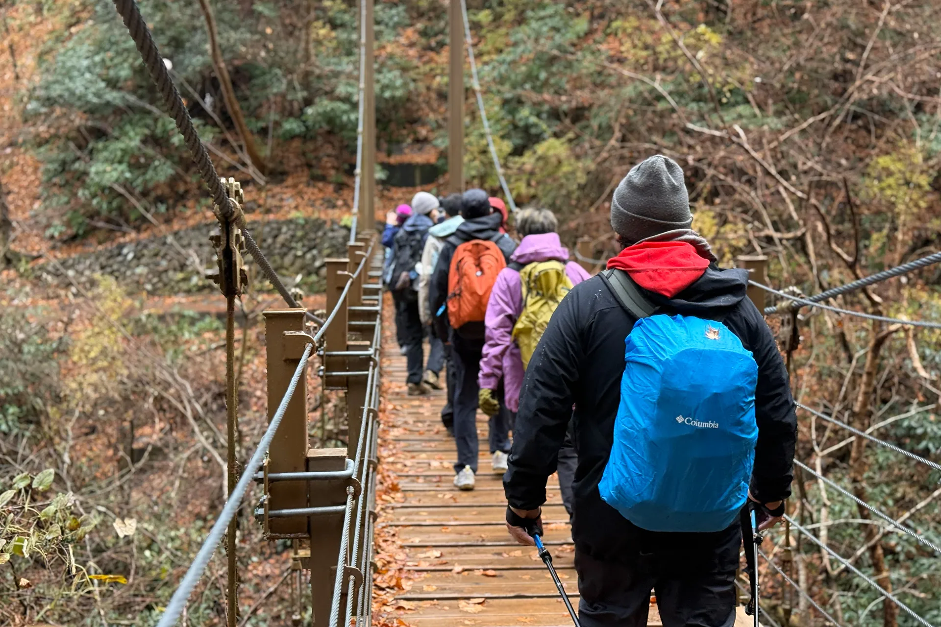 登山学校レポート│晴れと雨、それぞれの魅力を味わう冬の高尾山ハイキング