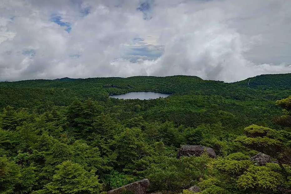 登山学校レポート│針葉樹の森と岩場に広がる苔が美しい初夏の北八ケ岳