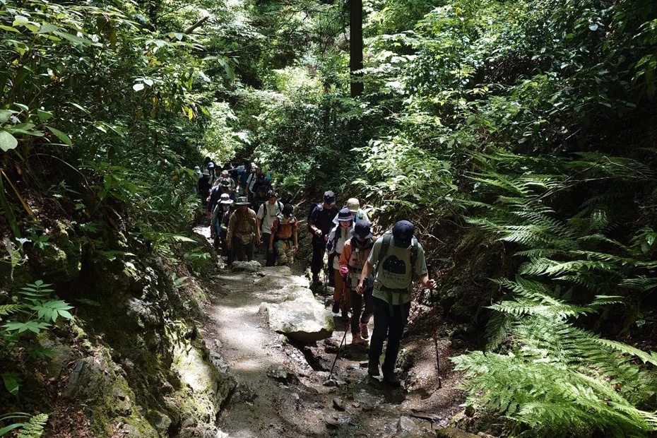 登山学校レポート│新緑広がる春の高尾山。日帰り登山の基礎講座