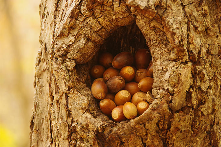 地方暮らしに憧れる人々に贈る、東京→北海道移住エッセイ　OPEN THE DOOR　第2回 異文化が日常に変わる