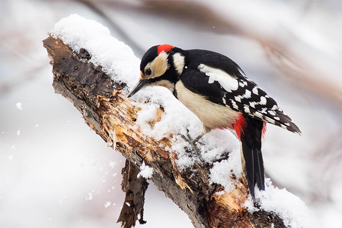 地方暮らしに憧れる人々に贈る、東京→北海道移住エッセイ　OPEN THE DOOR　第3回 その靴じゃダメ