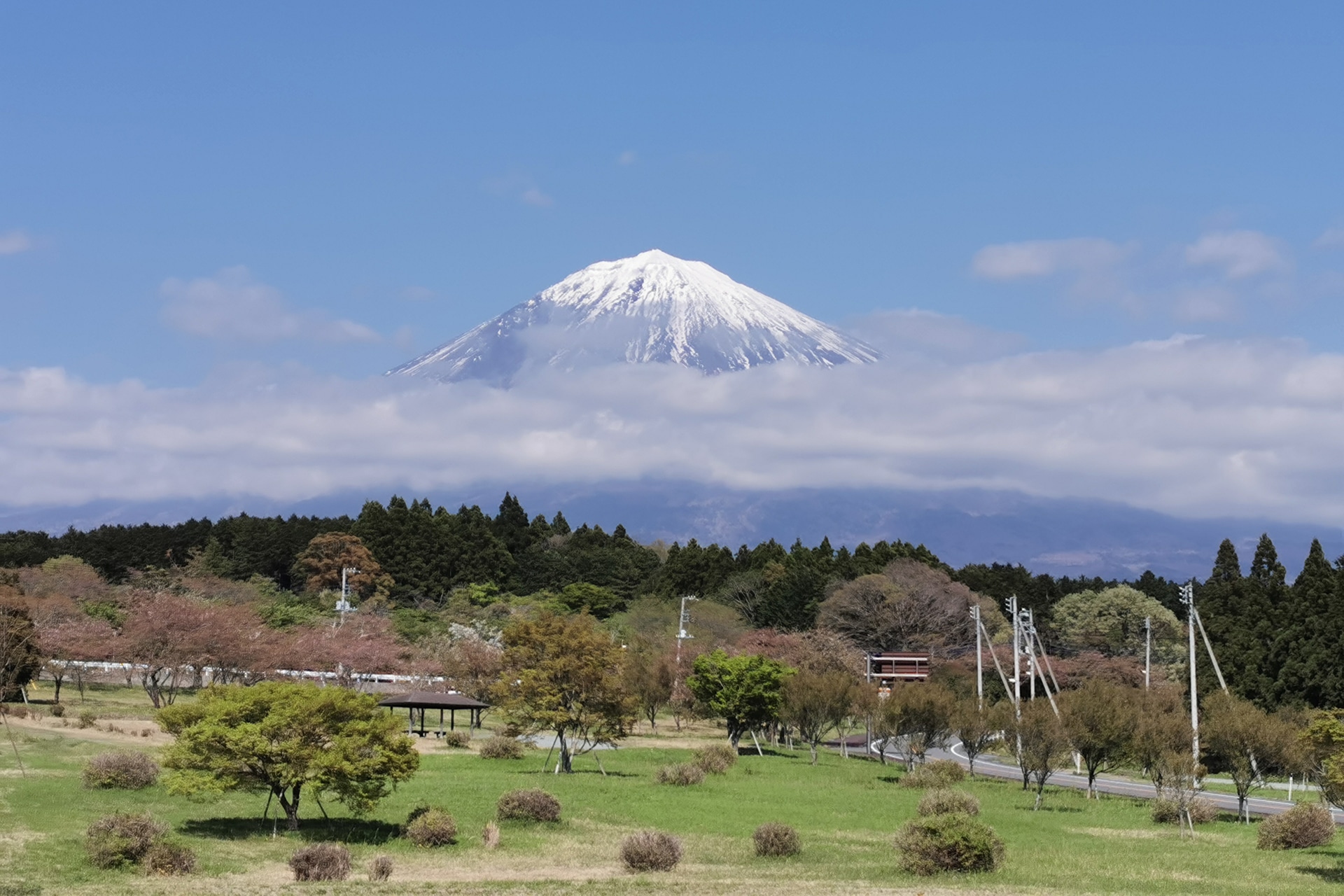 富士山ロングトレイル・スルーハイカー第1号へ道のり~第1回 富士山ロングトレイルって何だ?“準備編”~