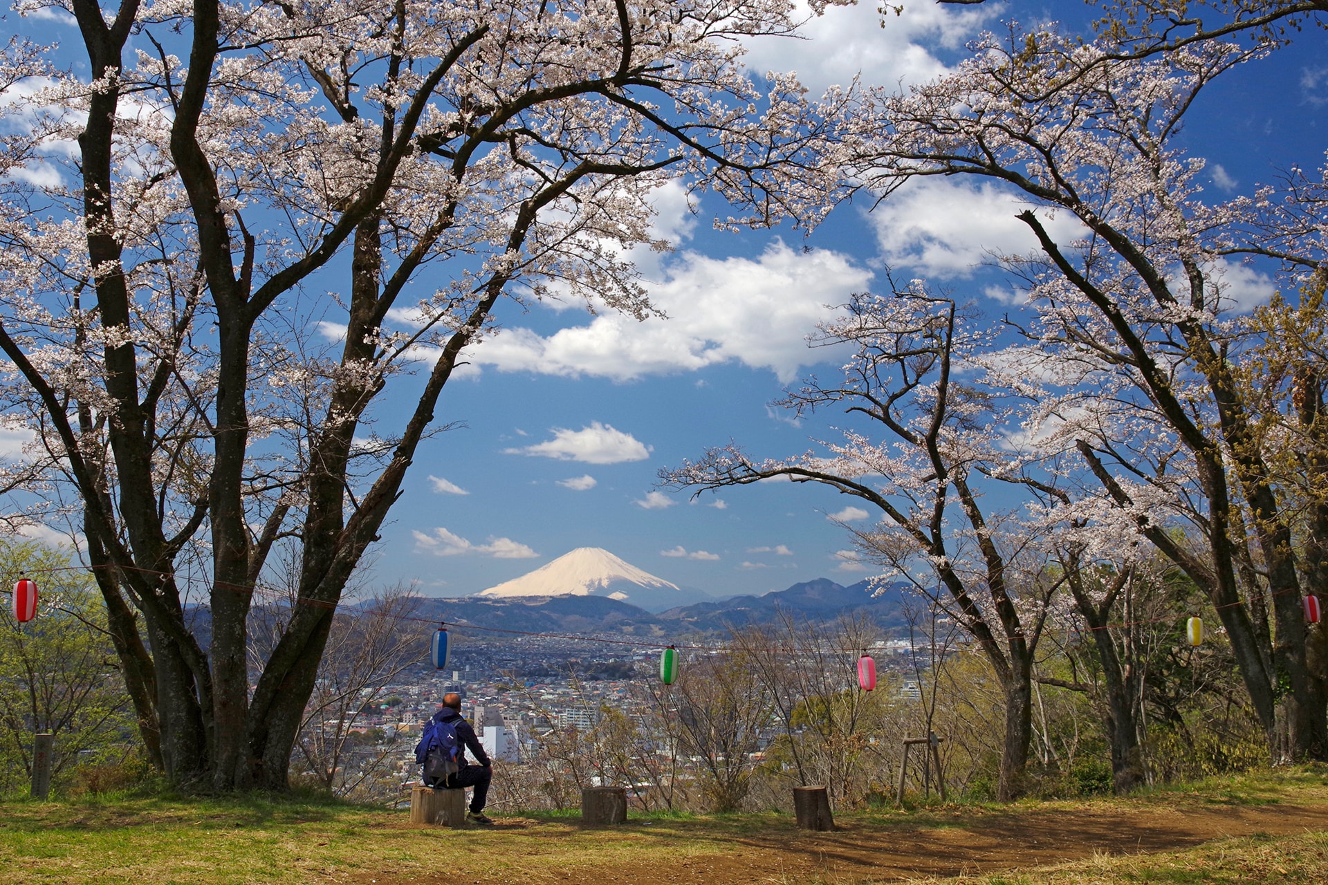 神奈川県秦野市にある弘法山は、日帰りハイキングにぴったりの初心者向きコース