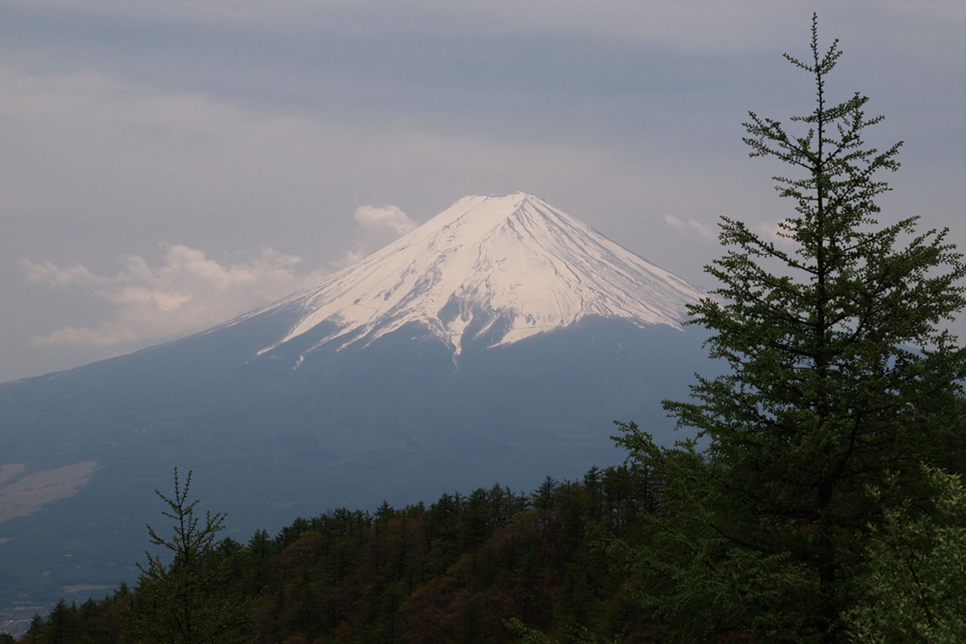 山梨にある百名山の中で一番人気と称される富士山の絶景を望める三ツ峠