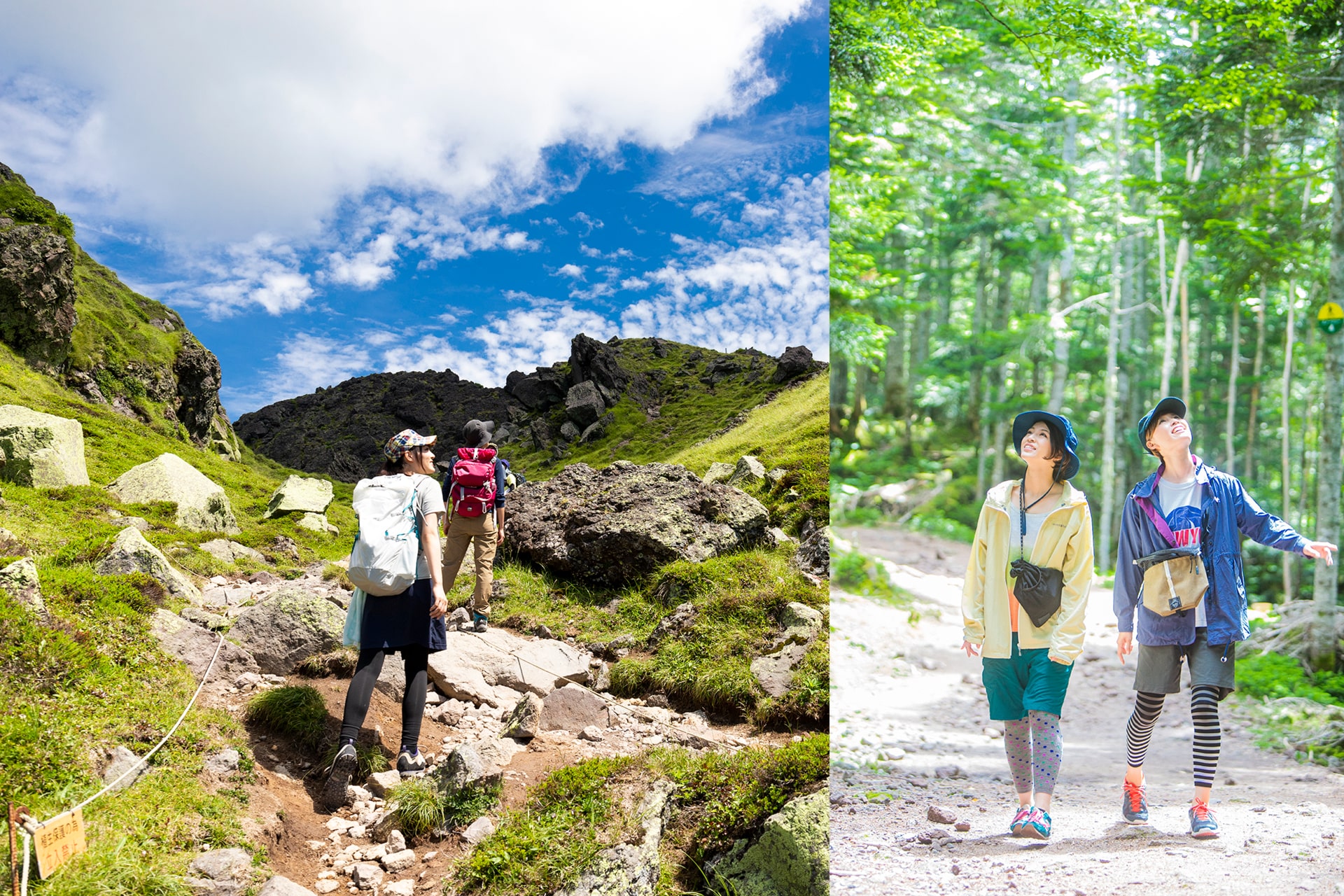 日光白根山は、夏は高山植物&秋は紅葉の名所として有名