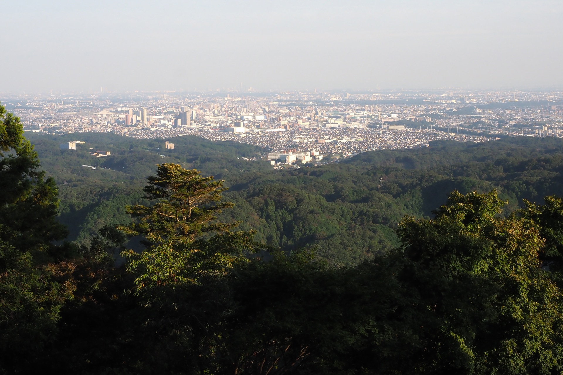 富士山と並んでミシュランの三ツ星に指定された高尾山