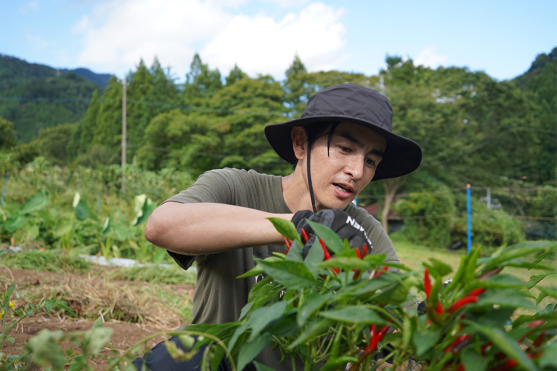 現役モデルが1時間半かけて通うほど熱中する「畑」の魅力と日々の暮らし＜Shogo＞